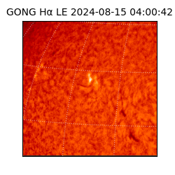 gong - 2024-08-15T04:00:42