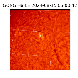 gong - 2024-08-15T05:00:42