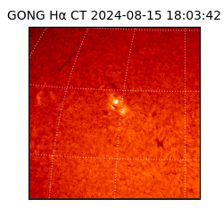 gong - 2024-08-15T18:03:42