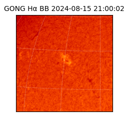 gong - 2024-08-15T21:00:02