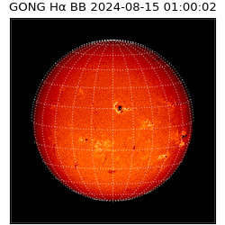 gong - 2024-08-15T01:00:02
