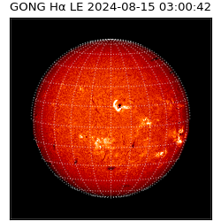 gong - 2024-08-15T03:00:42
