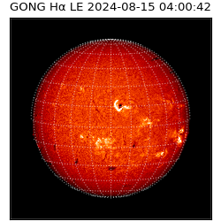 gong - 2024-08-15T04:00:42