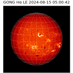 gong - 2024-08-15T05:00:42