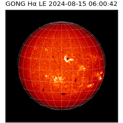 gong - 2024-08-15T06:00:42