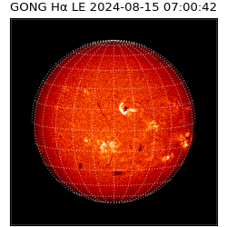 gong - 2024-08-15T07:00:42