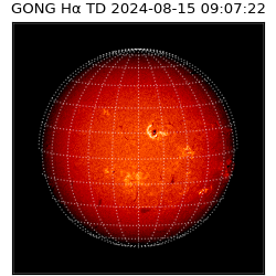 gong - 2024-08-15T09:07:22