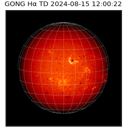 gong - 2024-08-15T12:00:22