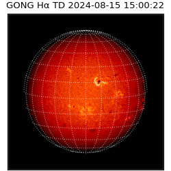 gong - 2024-08-15T15:00:22