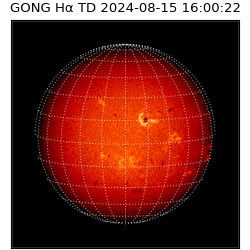 gong - 2024-08-15T16:00:22
