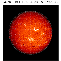 gong - 2024-08-15T17:00:42