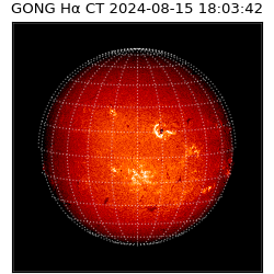 gong - 2024-08-15T18:03:42