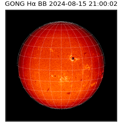 gong - 2024-08-15T21:00:02
