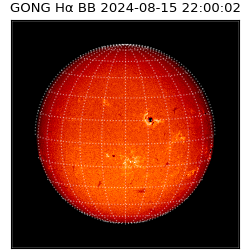 gong - 2024-08-15T22:00:02