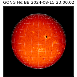 gong - 2024-08-15T23:00:02