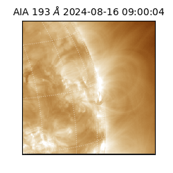 saia - 2024-08-16T09:00:04.843000