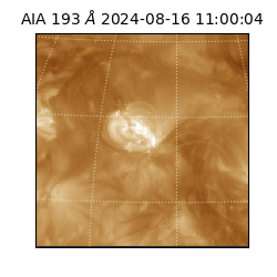 saia - 2024-08-16T11:00:04.843000