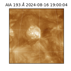 saia - 2024-08-16T19:00:04.843000