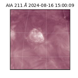 saia - 2024-08-16T15:00:09.629000