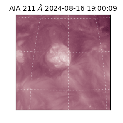 saia - 2024-08-16T19:00:09.629000