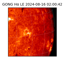 gong - 2024-08-16T02:00:42