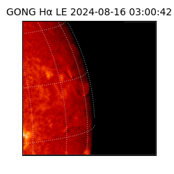 gong - 2024-08-16T03:00:42