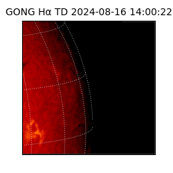 gong - 2024-08-16T14:00:22