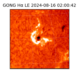 gong - 2024-08-16T02:00:42