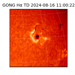 gong - 2024-08-16T11:00:22