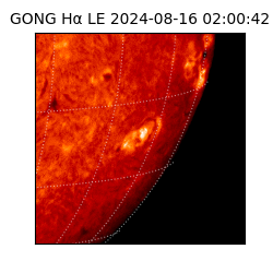 gong - 2024-08-16T02:00:42