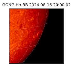 gong - 2024-08-16T20:00:02