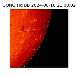 gong - 2024-08-16T21:00:02