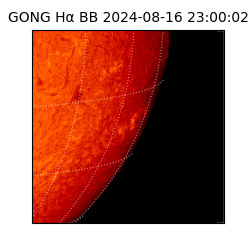 gong - 2024-08-16T23:00:02