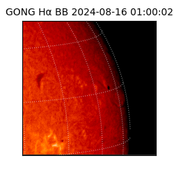 gong - 2024-08-16T01:00:02