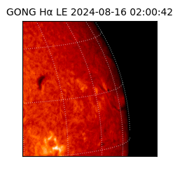 gong - 2024-08-16T02:00:42