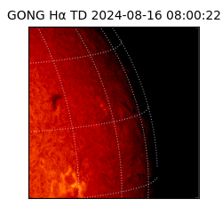 gong - 2024-08-16T08:00:22