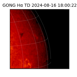 gong - 2024-08-16T18:00:22