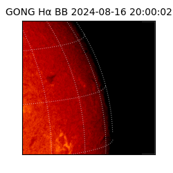 gong - 2024-08-16T20:00:02