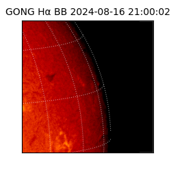 gong - 2024-08-16T21:00:02