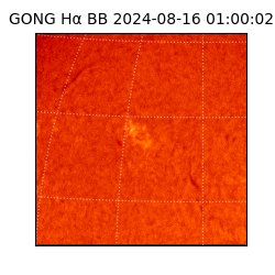 gong - 2024-08-16T01:00:02