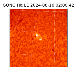 gong - 2024-08-16T02:00:42