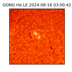 gong - 2024-08-16T03:00:42