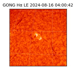 gong - 2024-08-16T04:00:42