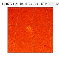 gong - 2024-08-16T19:00:02