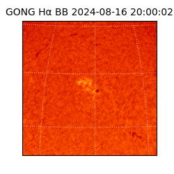 gong - 2024-08-16T20:00:02