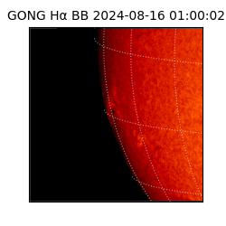 gong - 2024-08-16T01:00:02