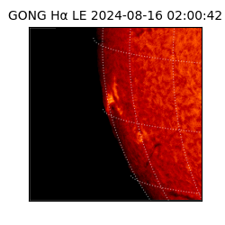 gong - 2024-08-16T02:00:42