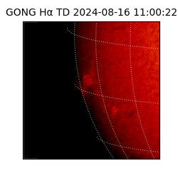 gong - 2024-08-16T11:00:22