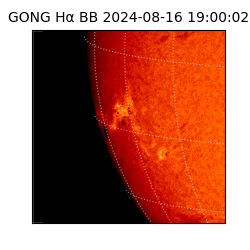 gong - 2024-08-16T19:00:02