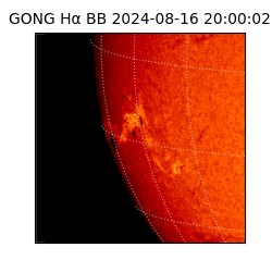 gong - 2024-08-16T20:00:02